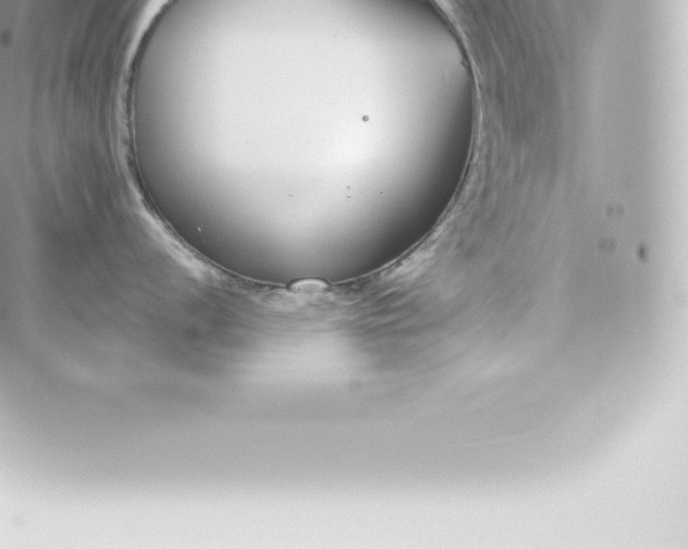 X0000060241056200511111924