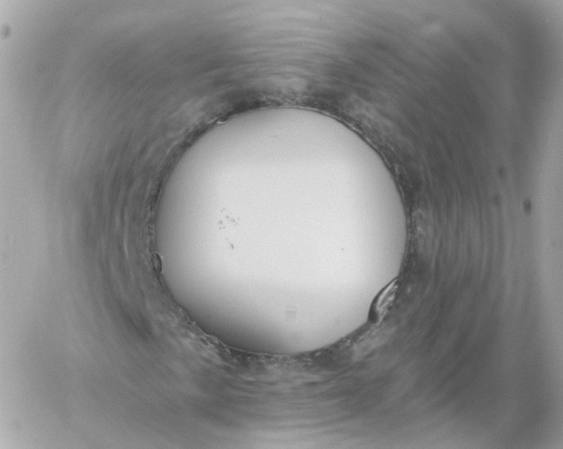 X0000060241057200511111924