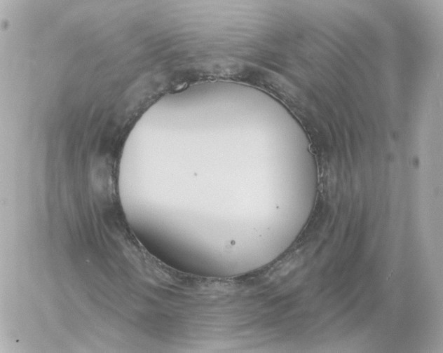 X0000060241058200511111924