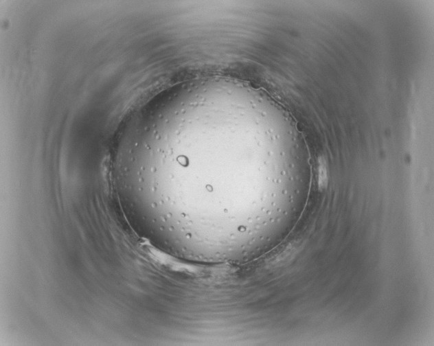 X0000060241059200511111924