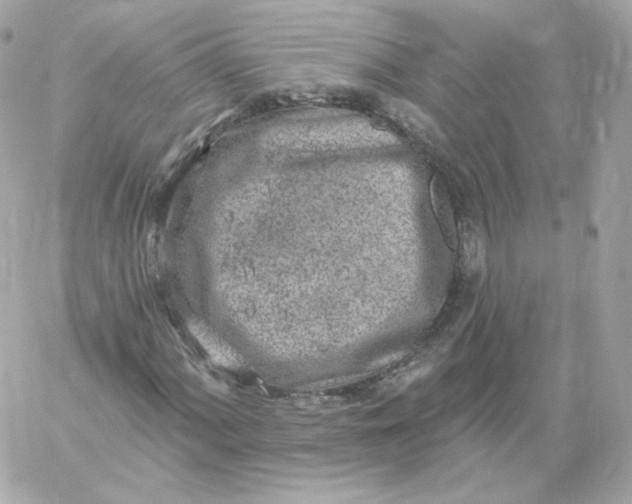 X0000060241060200511111924