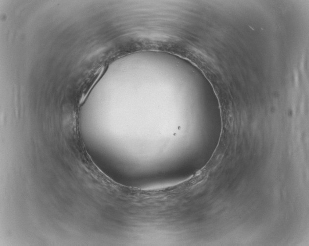 X0000060241061200511111924