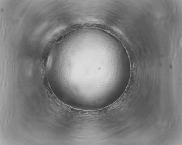 X0000060241063200511111923