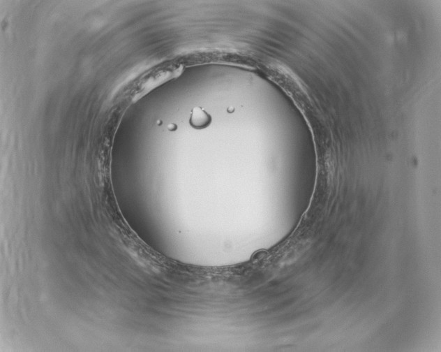 X0000060241064200511111923