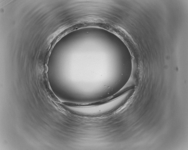 X0000060241065200511111923