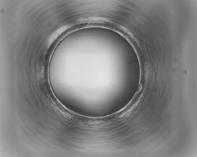 X0000060241066200511111923