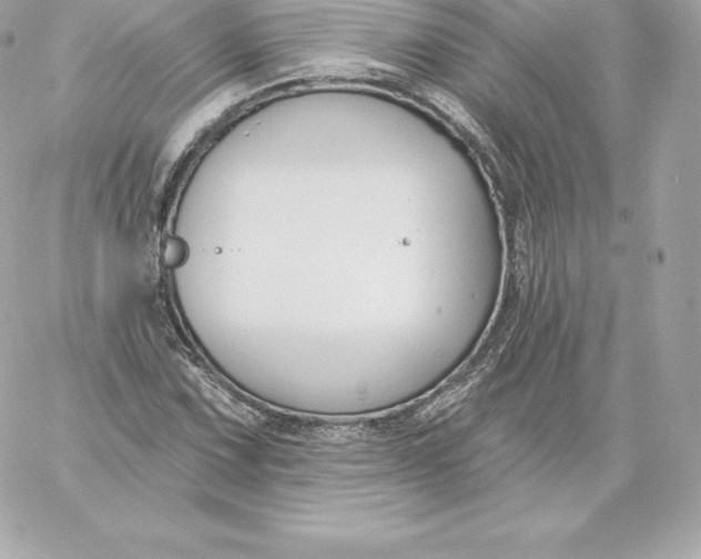 X0000060241067200511111923