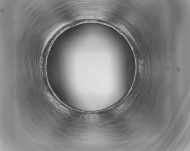 X0000060241068200511111923