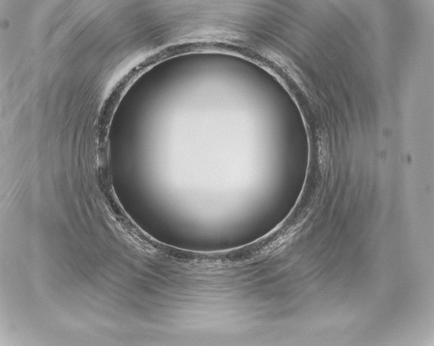 X0000060241069200511111923