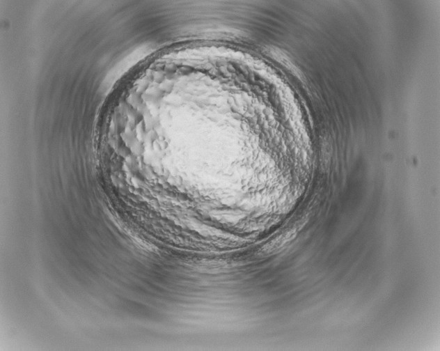 X0000060241071200511111923