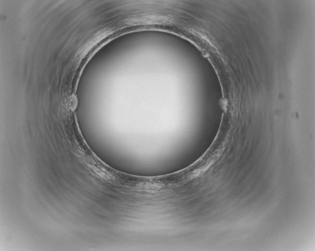 X0000060241073200511111923