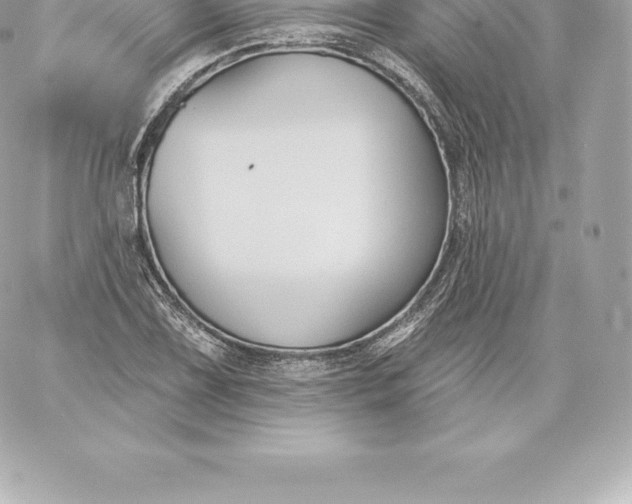 X0000060241075200511111923