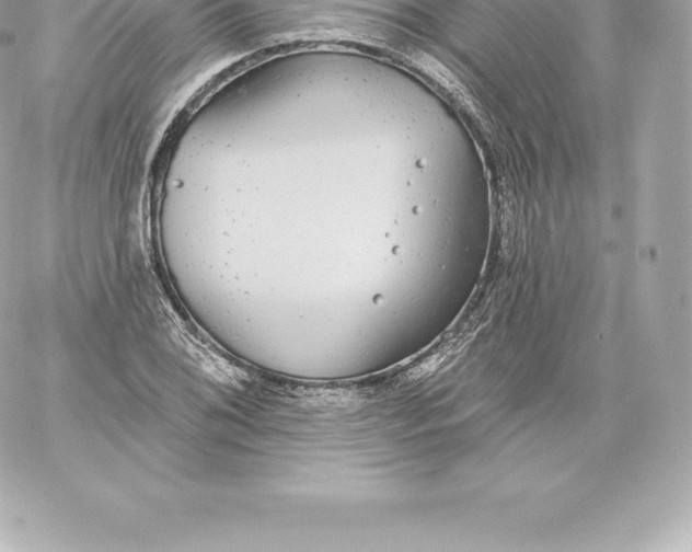 X0000060241076200511111923