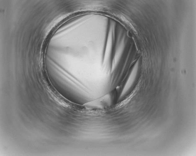 X0000060241077200511111923