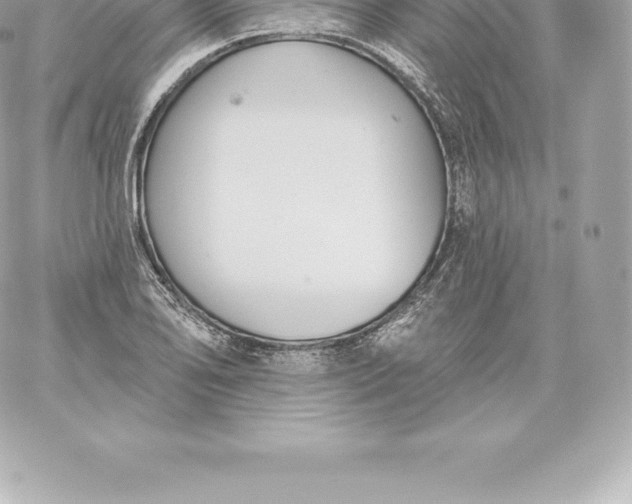 X0000060241078200511111923