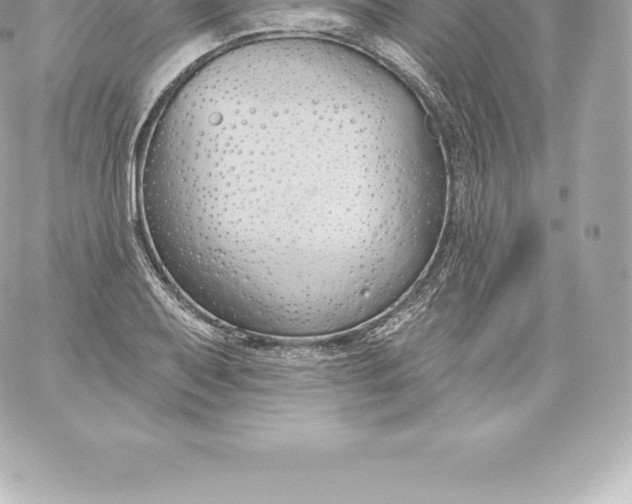 X0000060241079200511111923