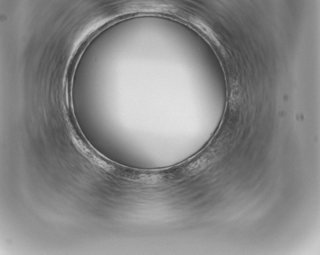 X0000060241080200511111923