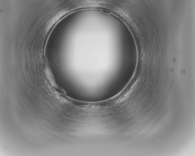 X0000060241081200511111923