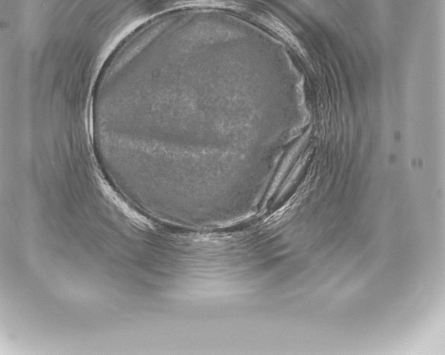 X0000060241084200511111923