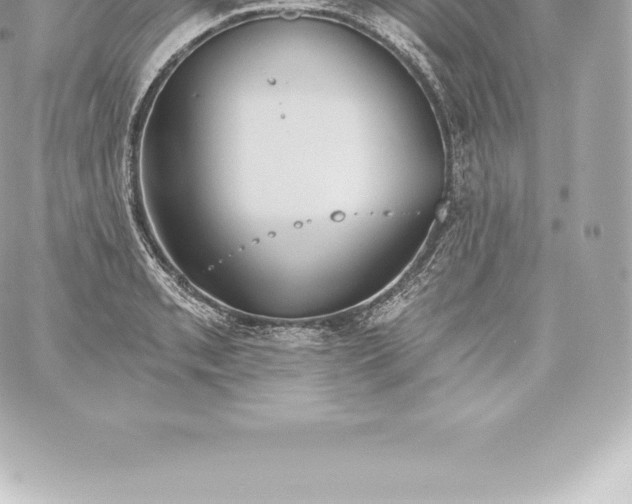 X0000060241085200511111923