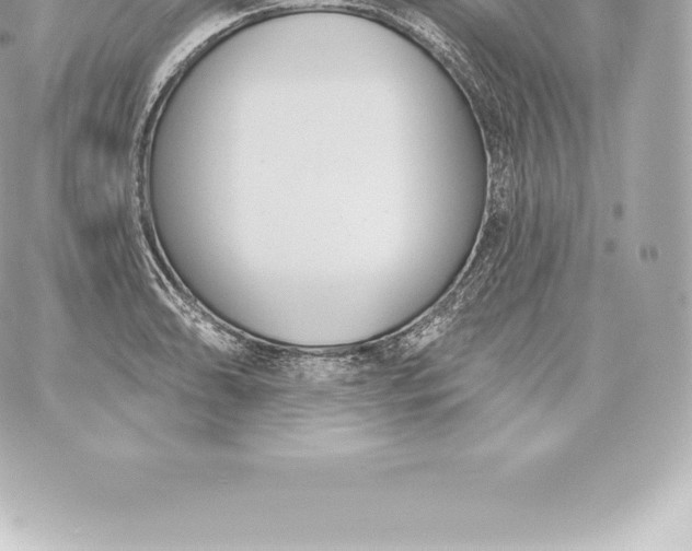 X0000060241086200511111923