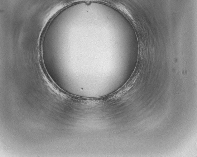 X0000060241087200511111923