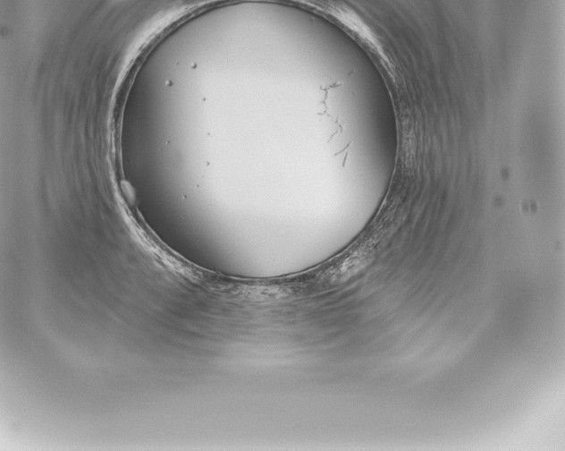 X0000060241088200511111923