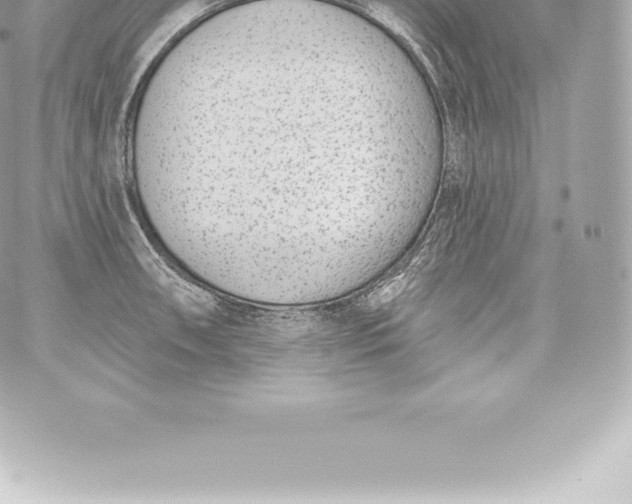 X0000060241090200511111923