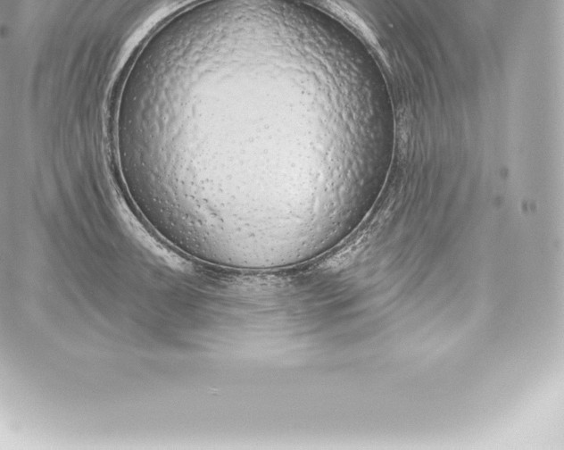 X0000060241091200511111923