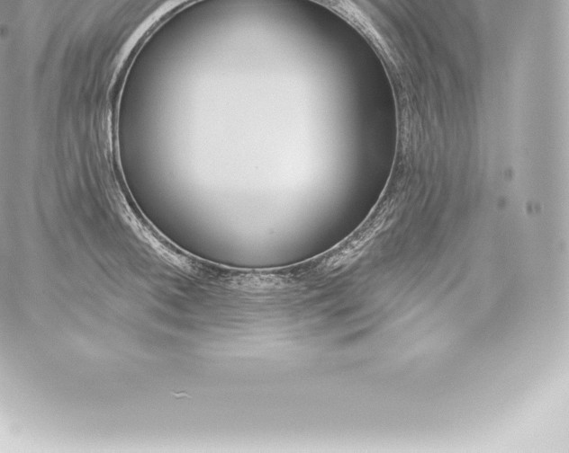 X0000060241092200511111923