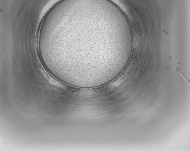 X0000060241094200511111923