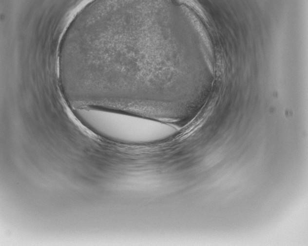 X0000060241095200511111923