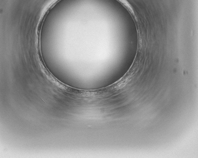 X0000060241096200511111923