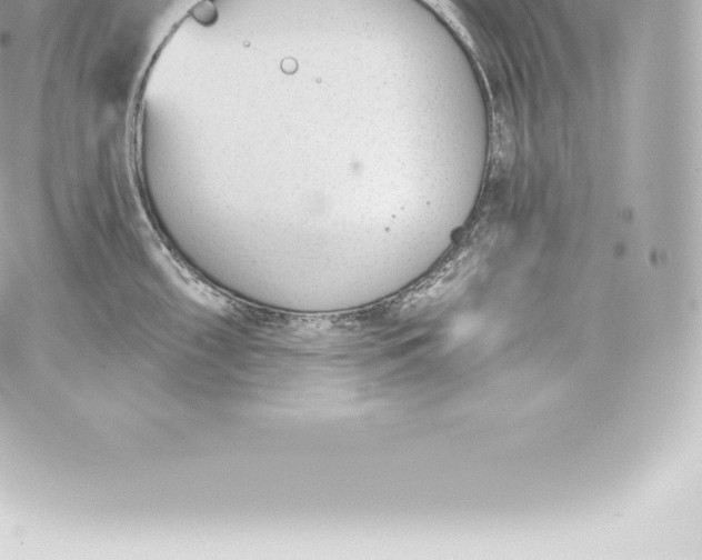 X0000060241098200511111923