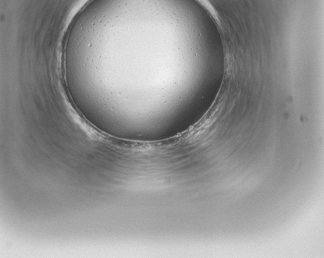 X0000060241099200511111923