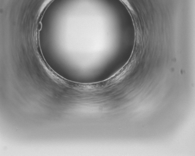 X0000060241101200511111923