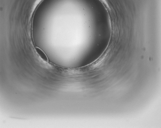 X0000060241102200511111923