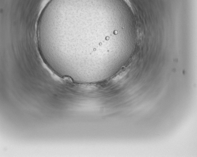 X0000060241103200511111923