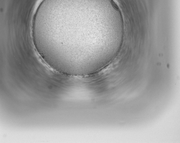 X0000060241104200511111923