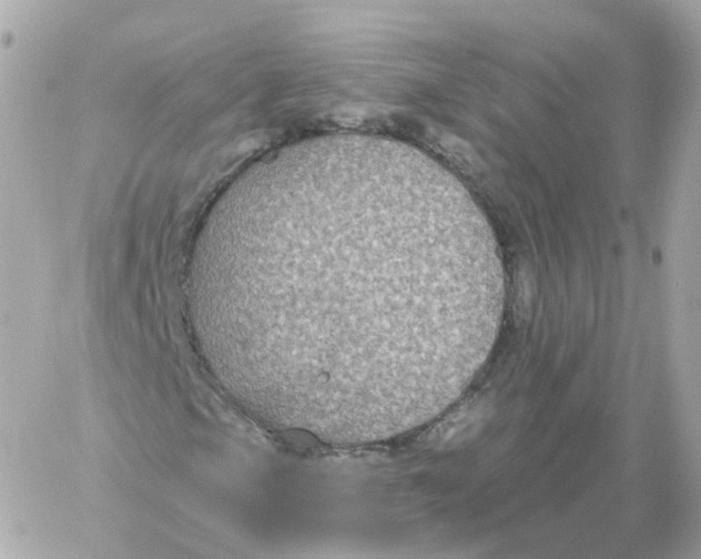 X0000060241105200511111922