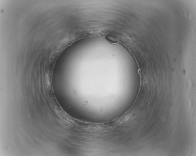 X0000060241106200511111922