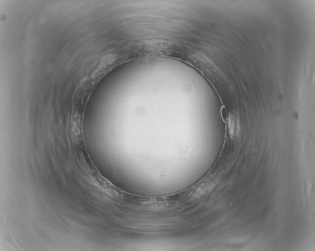 X0000060241107200511111922