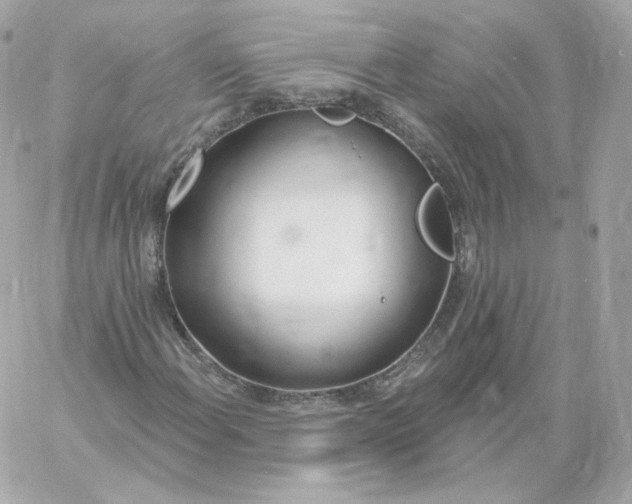 X0000060241108200511111922