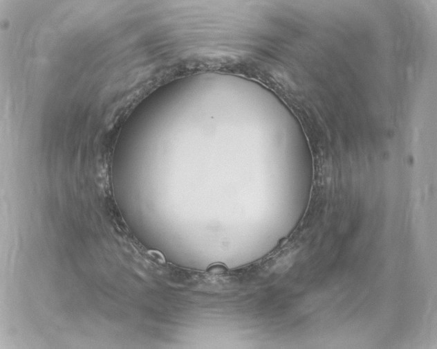 X0000060241109200511111922