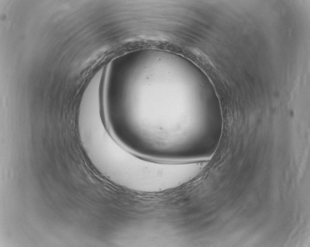 X0000060241110200511111922