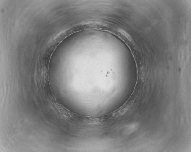 X0000060241111200511111922