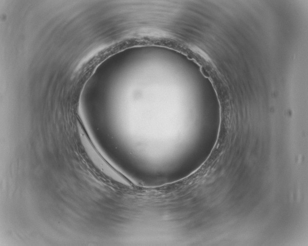 X0000060241112200511111922