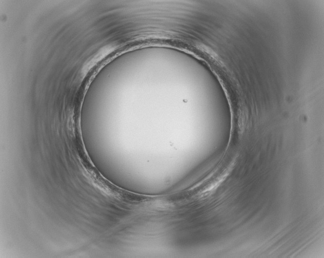 X0000060241113200511111922