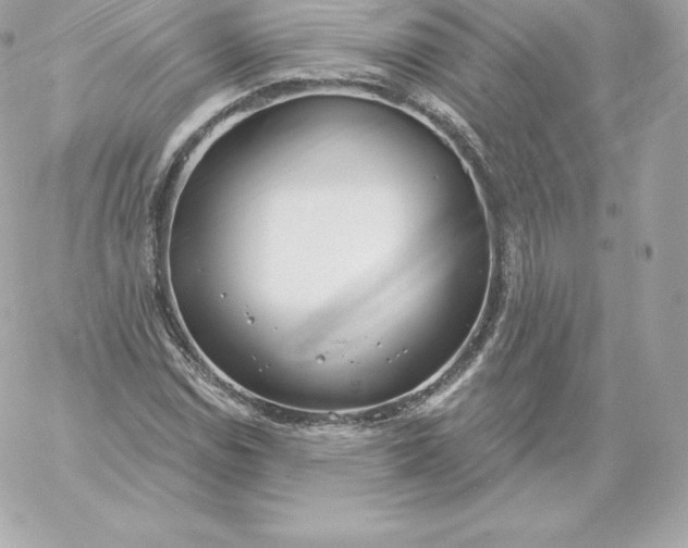 X0000060241114200511111922