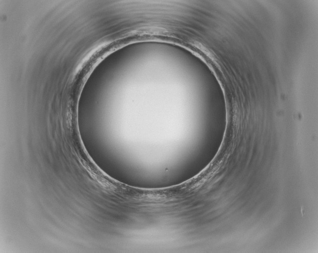 X0000060241115200511111922